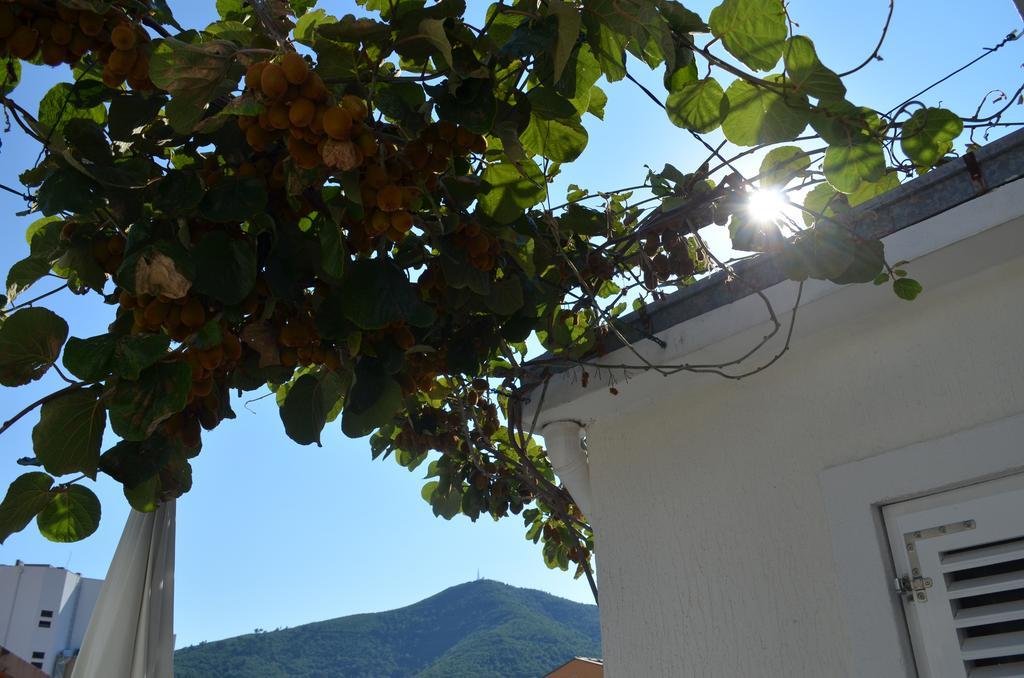 Casablanca Apartments Budva Exterior foto